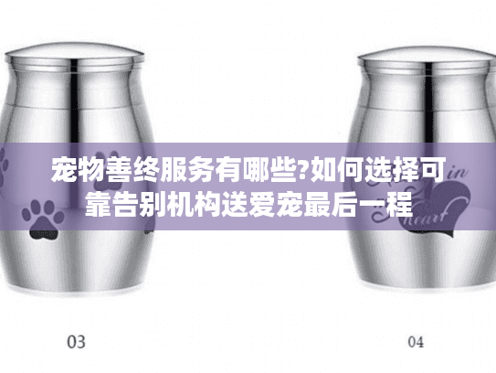 宠物善终服务有哪些?如何选择可靠告别机构送爱宠最后一程