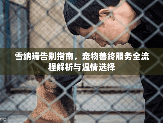 雪纳瑞告别指南，宠物善终服务全流程解析与温情选择