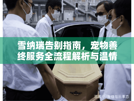 雪纳瑞告别指南，宠物善终服务全流程解析与温情选择