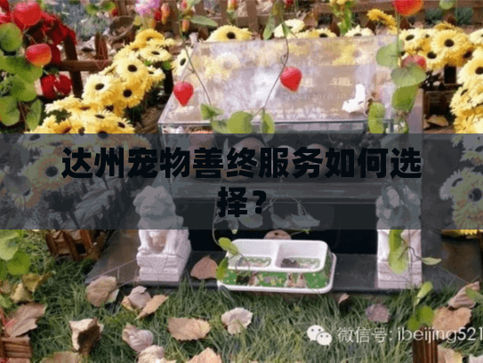 达州宠物善终服务如何选择？