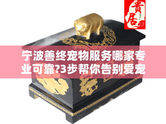 宁波善终宠物服务哪家专业可靠?3步帮你告别爱宠选择焦虑