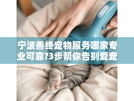 宁波善终宠物服务哪家专业可靠?3步帮你告别爱宠选择焦虑