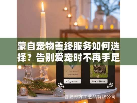 蒙自宠物善终服务如何选择？告别爱宠时不再手足无措！