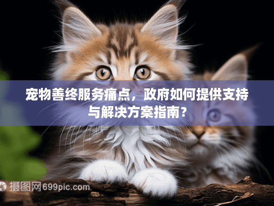 宠物善终服务痛点，政府如何提供支持与解决方案指南？