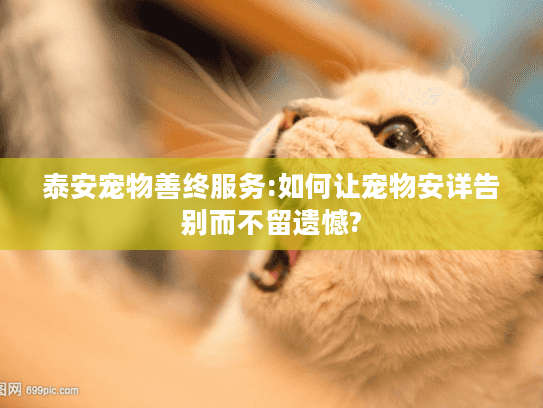 泰安宠物善终服务:如何让宠物安详告别而不留遗憾?