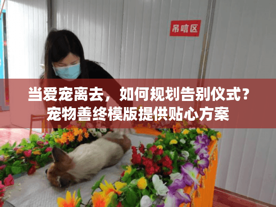 当爱宠离去，如何规划告别仪式？宠物善终模版提供贴心方案