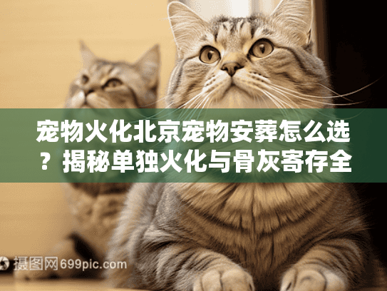 宠物火化北京宠物安葬怎么选?揭秘单独火化与骨灰寄存全流程 宠物火化北京宠物安葬怎么选?揭秘单独火化与骨灰寄存全流程