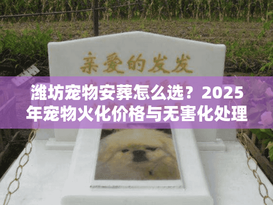 潍坊宠物安葬怎么选？2025年宠物火化价格与无害化处理避坑