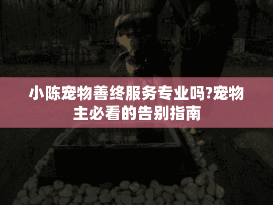 小陈宠物善终服务专业吗?宠物主必看的告别指南