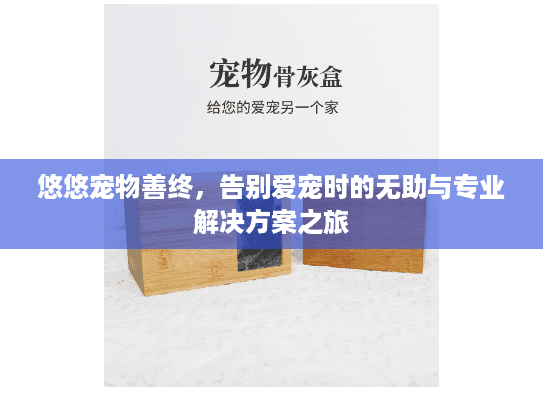 悠悠宠物善终，告别爱宠时的无助与专业解决方案之旅