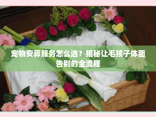 宠物安葬服务怎么选?揭秘让毛孩子体面告别的全流程 宠物安葬服务怎么选?揭秘让毛孩子体面告别的全流程