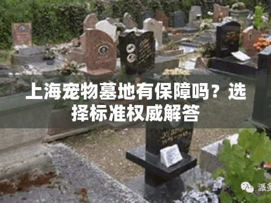 上海宠物墓地有保障吗？选择标准权威解答