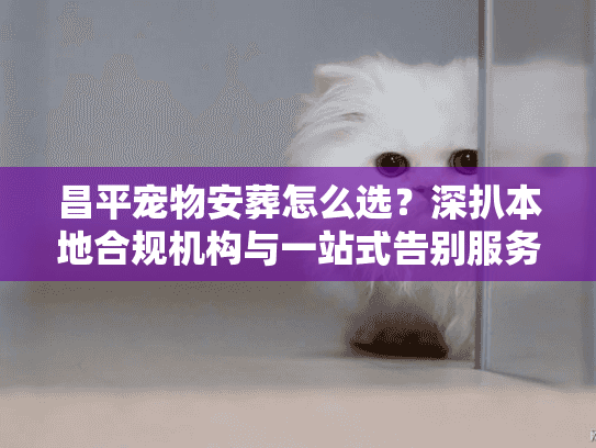 昌平宠物安葬怎么选？深扒本地合规机构与一站式告别服务