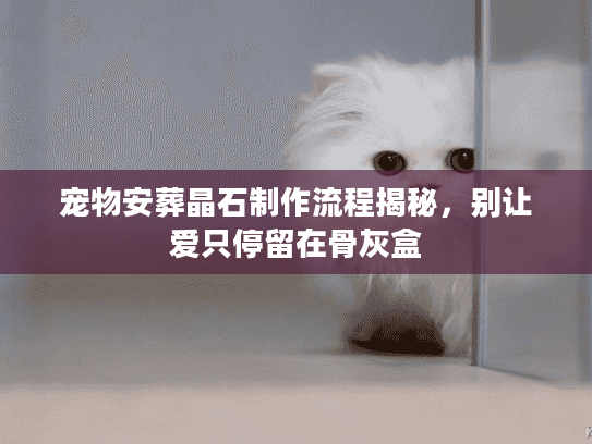 宠物安葬晶石制作流程揭秘，别让爱只停留在骨灰盒