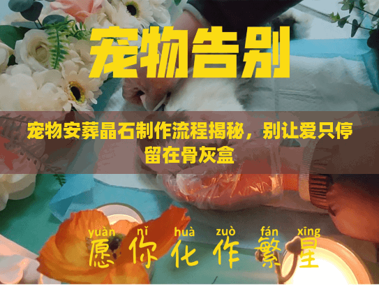 宠物安葬晶石制作流程揭秘，别让爱只停留在骨灰盒
