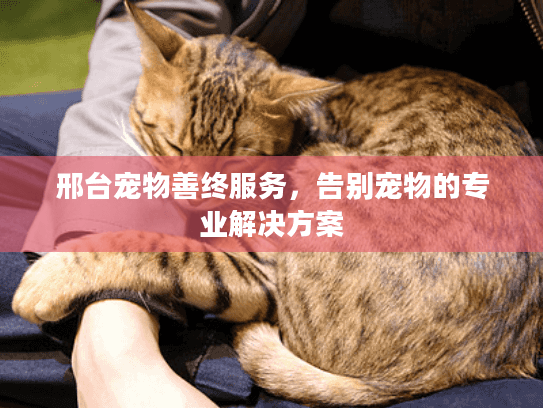 邢台宠物善终服务，告别宠物的专业解决方案