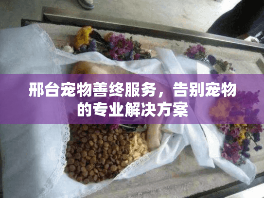 邢台宠物善终服务，告别宠物的专业解决方案