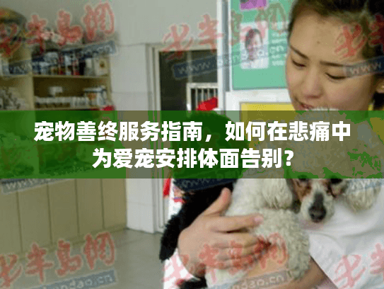 宠物善终服务指南，如何在悲痛中为爱宠安排体面告别？