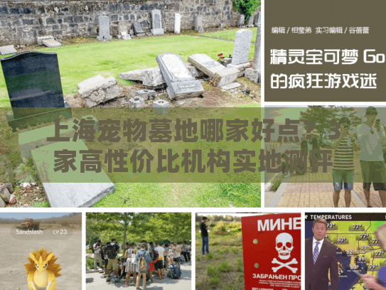 上海宠物墓地哪家好点？3家高性价比机构实地测评