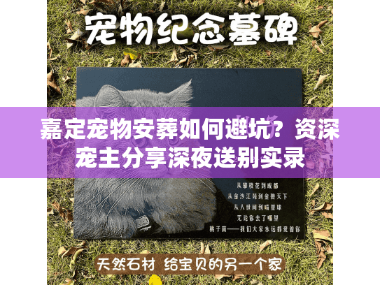 嘉定宠物安葬如何避坑？资深宠主分享深夜送别实录