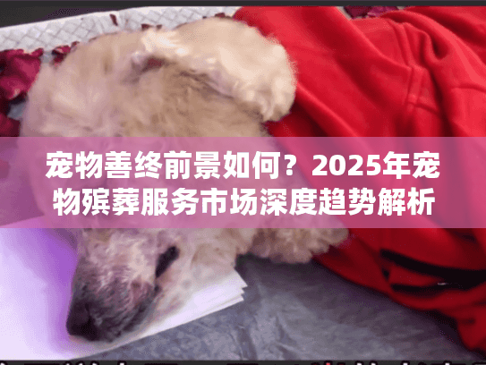 宠物善终前景如何？2025年宠物殡葬服务市场深度趋势解析