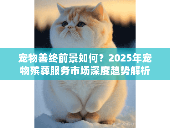 宠物善终前景如何？2025年宠物殡葬服务市场深度趋势解析