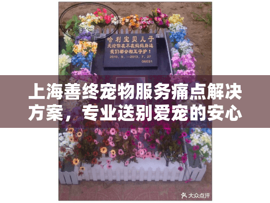 上海善终宠物服务痛点解决方案，专业送别爱宠的安心指南