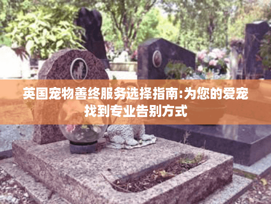 英国宠物善终服务选择指南:为您的爱宠找到专业告别方式