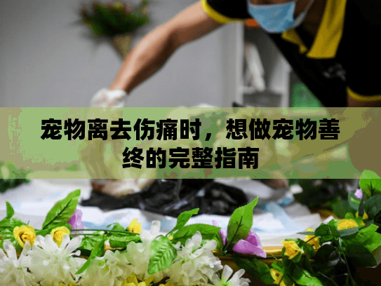宠物离去伤痛时，想做宠物善终的完整指南