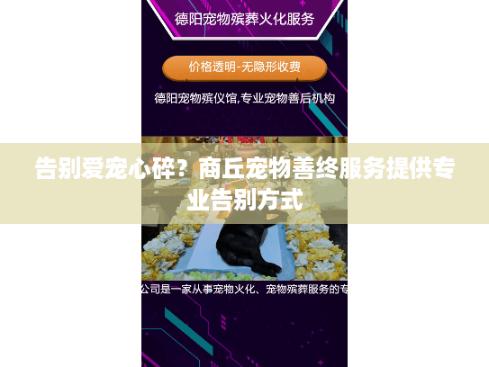 告别爱宠心碎？商丘宠物善终服务提供专业告别方式