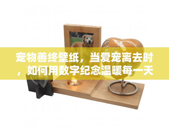 宠物善终壁纸，当爱宠离去时，如何用数字纪念温暖每一天？