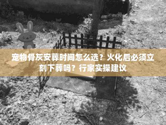 宠物骨灰安葬时间怎么选图片