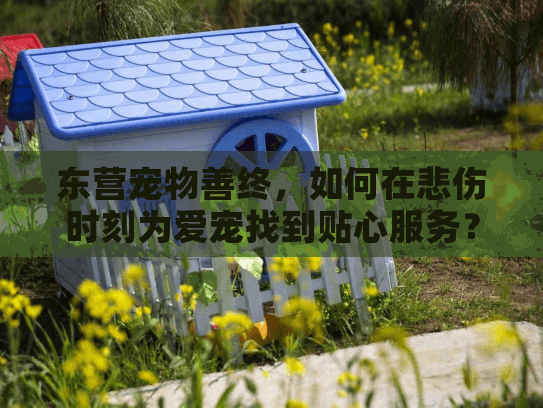 东营宠物善终，如何在悲伤时刻为爱宠找到贴心服务？