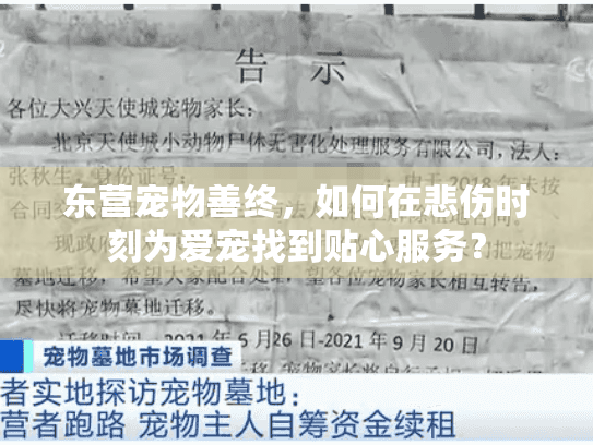 东营宠物善终，如何在悲伤时刻为爱宠找到贴心服务？