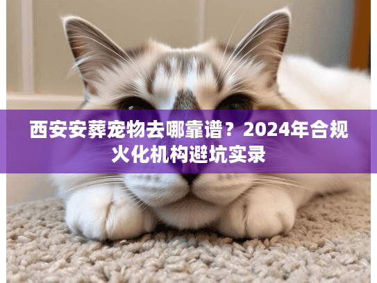 西安安葬宠物去哪靠谱？2024年合规火化机构避坑实录