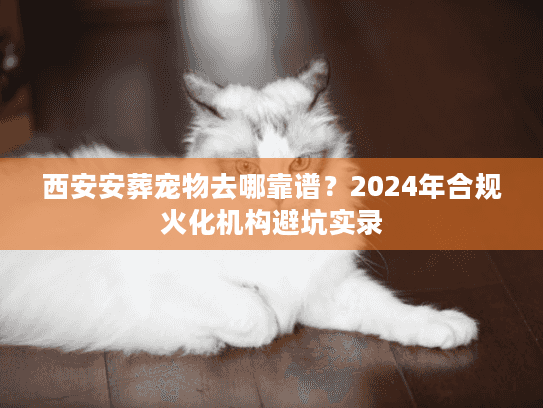西安安葬宠物去哪靠谱？2024年合规火化机构避坑实录
