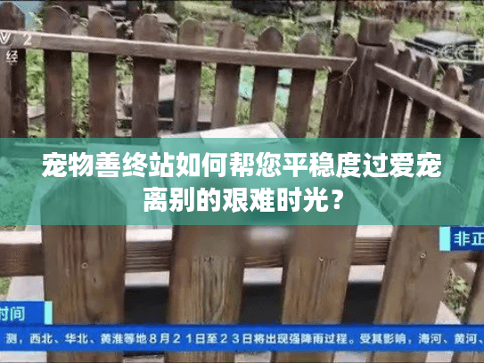 宠物善终站如何帮您平稳度过爱宠离别的艰难时光？