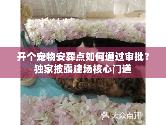 开个宠物安葬点如何通过审批？独家披露建场核心门道