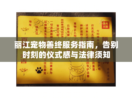 丽江宠物善终服务指南，告别时刻的仪式感与法律须知