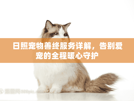 日照宠物善终服务详解，告别爱宠的全程暖心守护