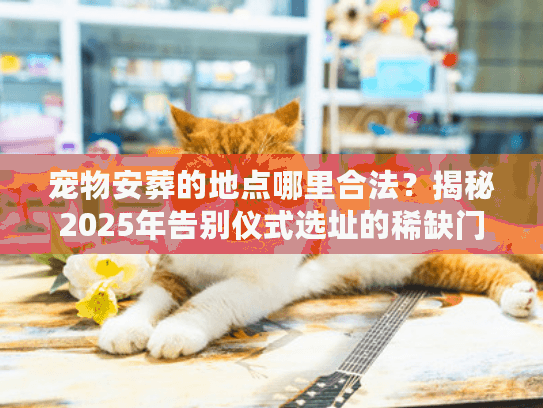 宠物安葬的地点哪里合法？揭秘2025年告别仪式选址的稀缺门道