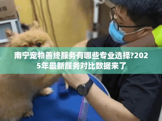 南宁宠物善终服务有哪些专业选择?2025年最新服务对比数据来了