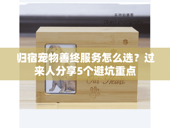归宿宠物善终服务怎么选？过来人分享5个避坑重点