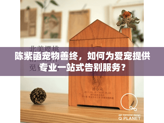 陈紫函宠物善终，如何为爱宠提供专业一站式告别服务？
