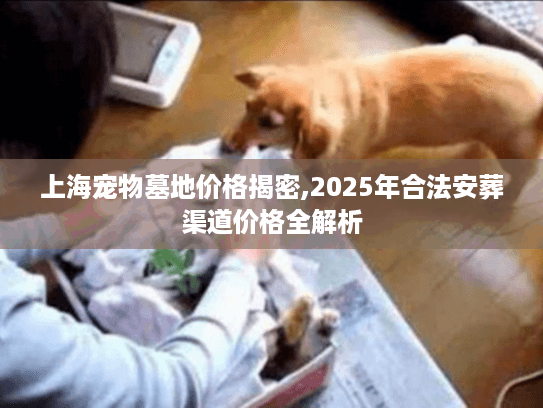 上海宠物墓地价格揭密,2025年合法安葬渠道价格全解析
