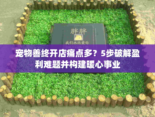 宠物善终开店痛点多？5步破解盈利难题并构建暖心事业