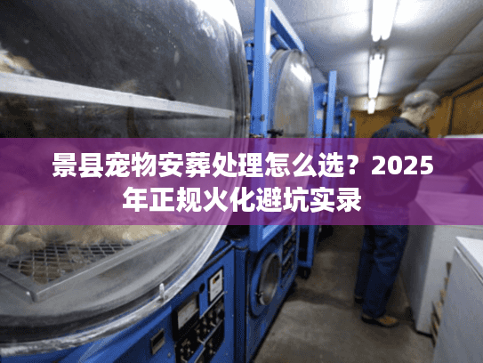 景县宠物安葬处理怎么选？2025年正规火化避坑实录