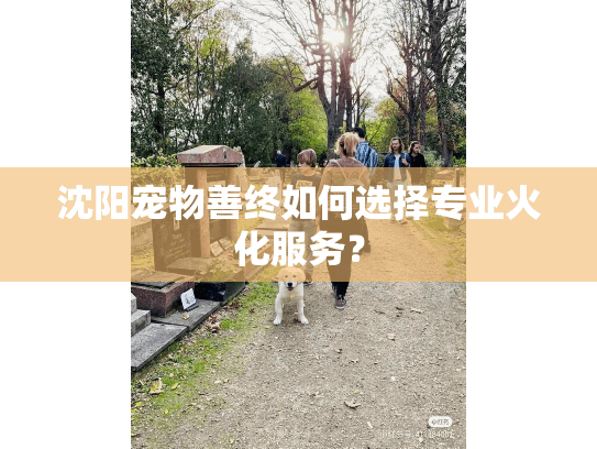 沈阳宠物善终如何选择专业火化服务？