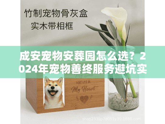 成安宠物安葬园怎么选？2024年宠物善终服务避坑实录