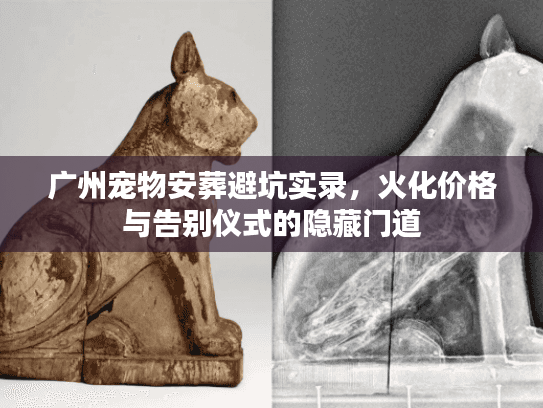 广州宠物安葬避坑实录，火化价格与告别仪式的隐藏门道